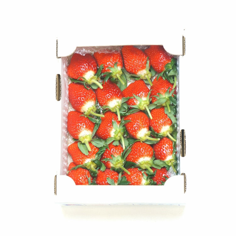 香川/KOKOROグループ]軸付き女峰いちご 700g: JALショッピング｜JAL