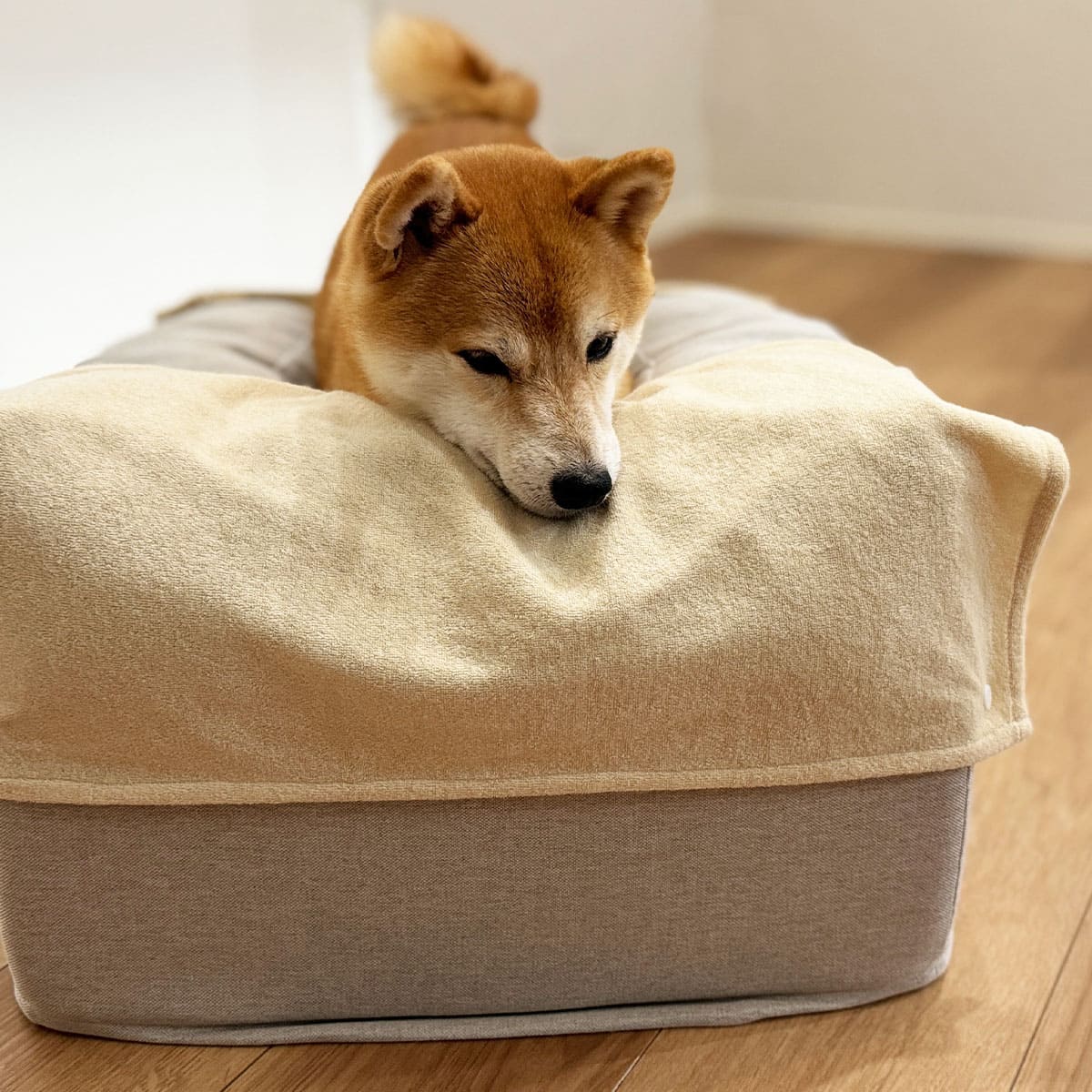 誤嚥・床ずれ防止 E字型 介護用ドッグベッド 防水カバー付き | 寝具