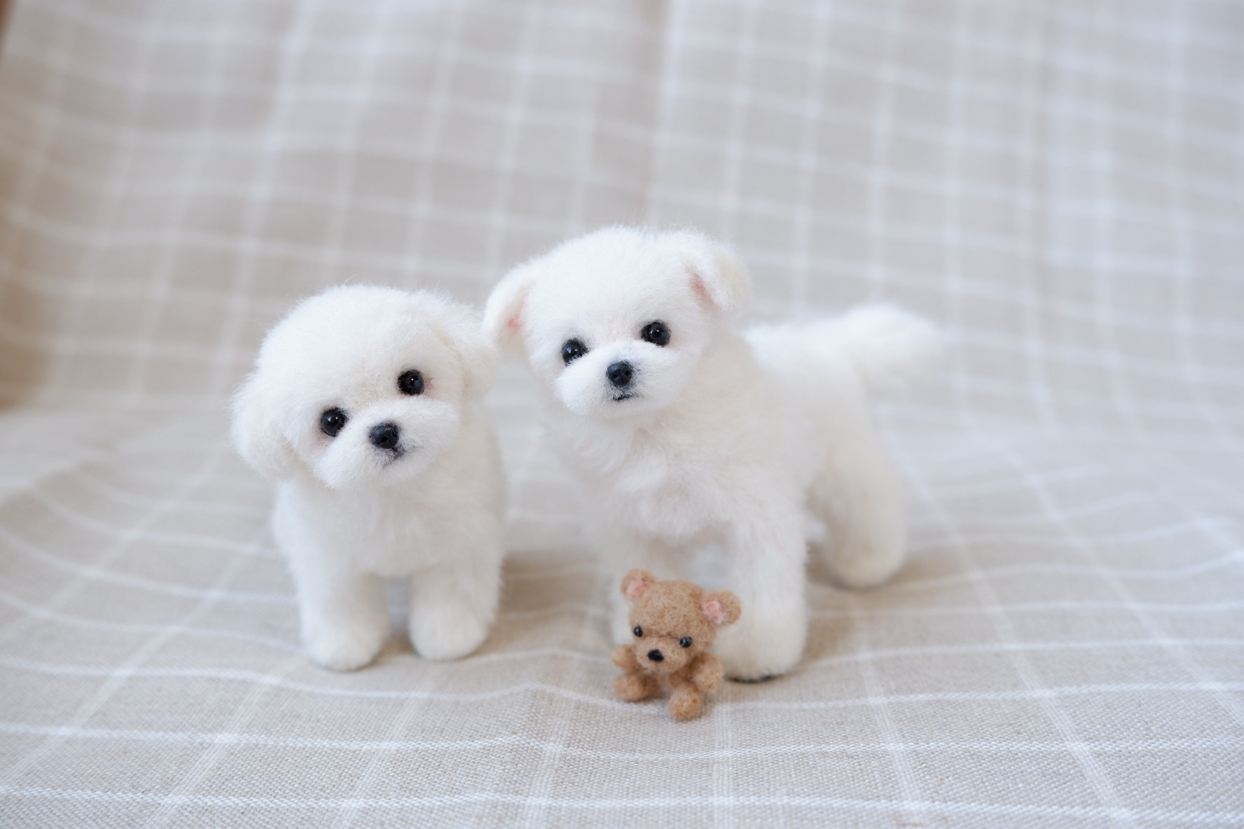 コースレッスン】羊毛フェルトで作る！かわいい子犬講座 -マルチーズ編