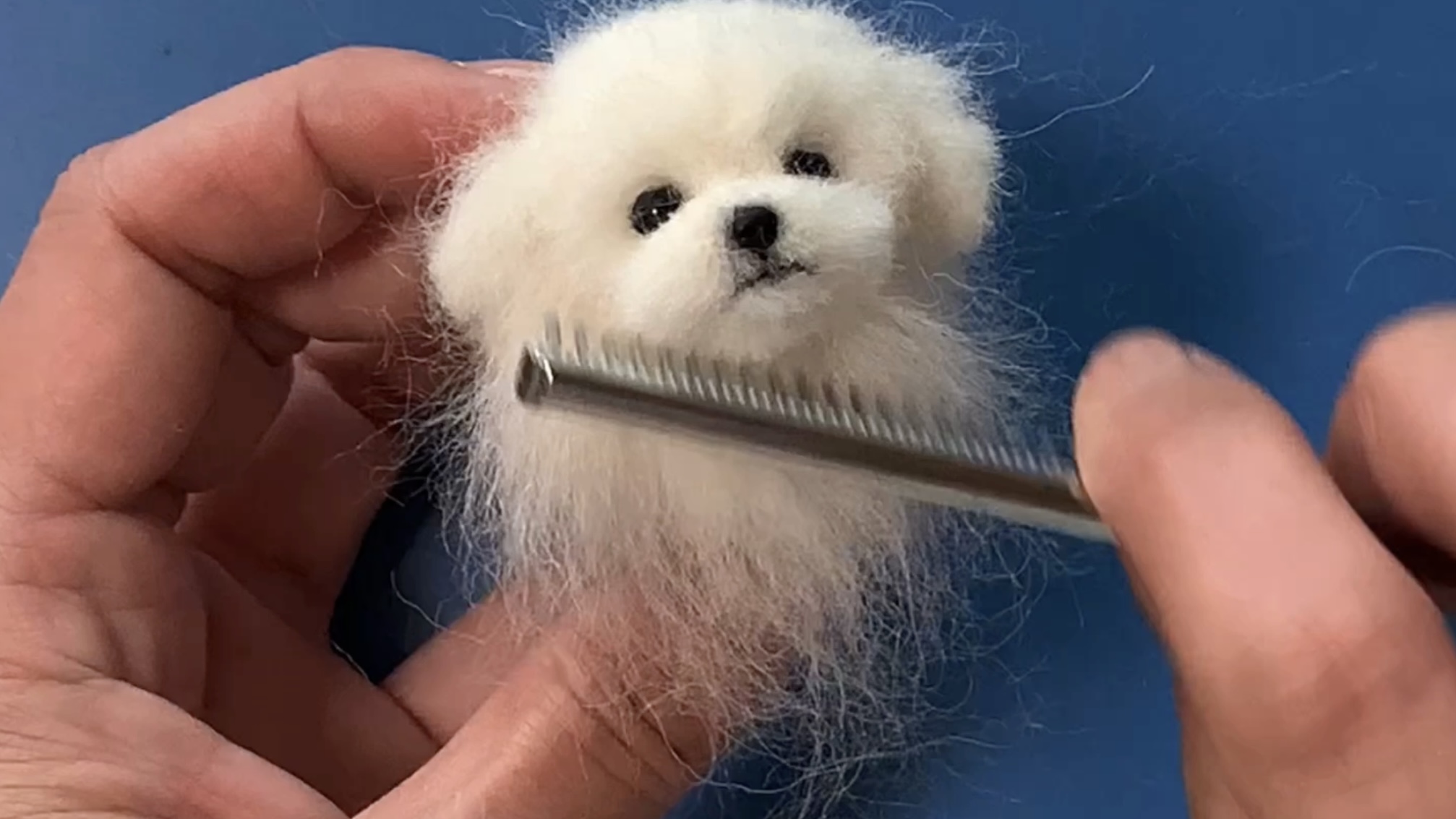 コースレッスン】羊毛フェルトで作る！かわいい子犬講座 -マルチーズ編