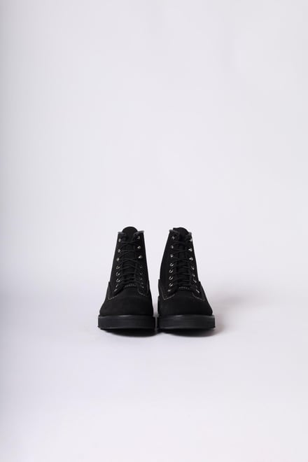 redwing-nonnative-024.jpg