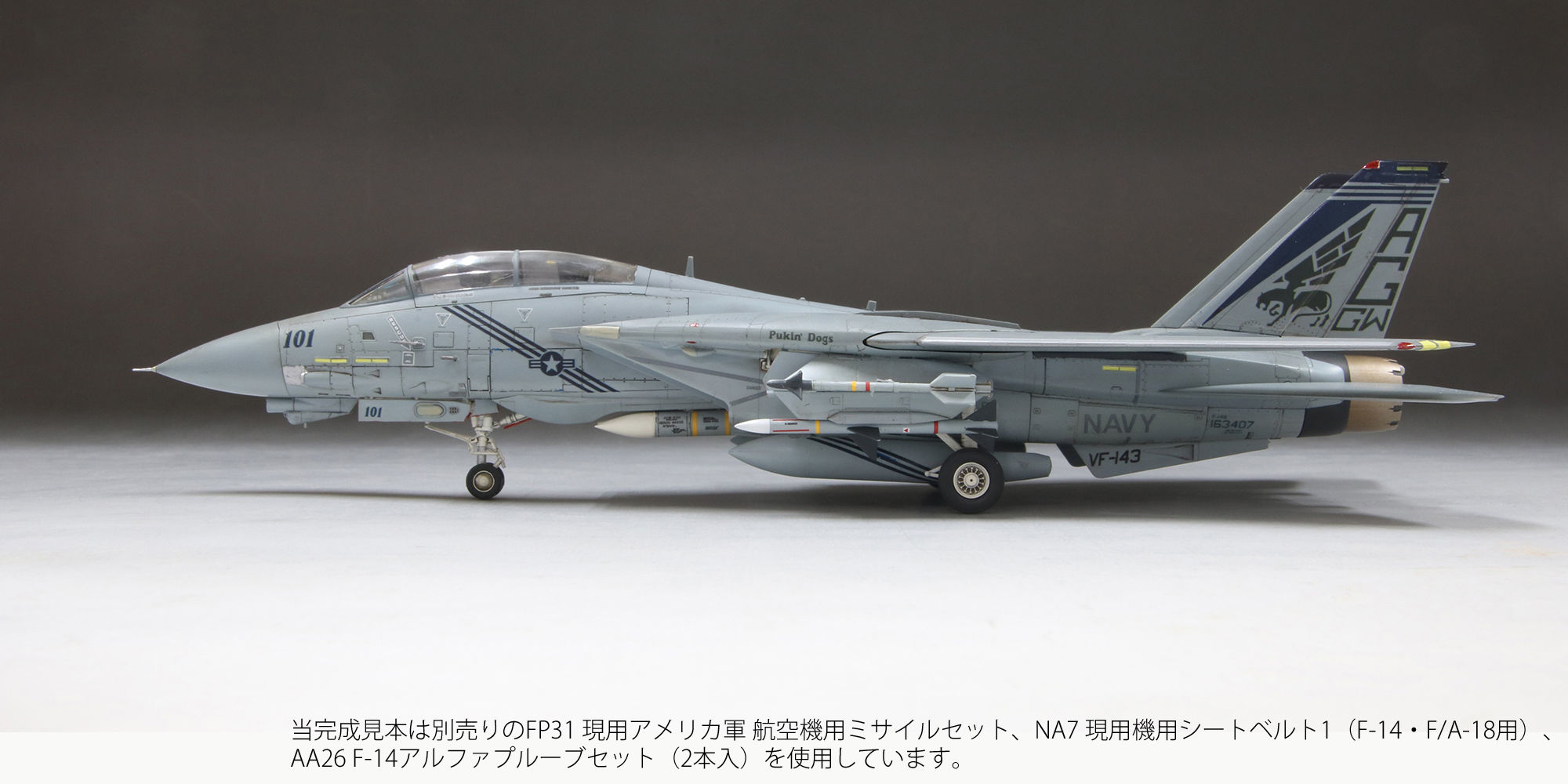 1/72アメリカ海軍F-14Bトムキャット“ピューキンドッグス”