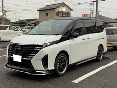BADX ロクサーニ マルチフォルケッタⅡ SP-SPECTOR 18インチ - セレナ