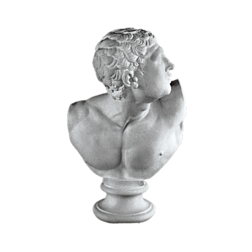 ボルゲーゼの闘士胸像 | 美術出版エデュケーショナル | 図工・美術教育