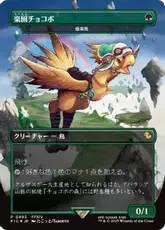 ダブルレインボウ・Foil】(344)□旧枠□《極楽鳥/Birds of Paradise