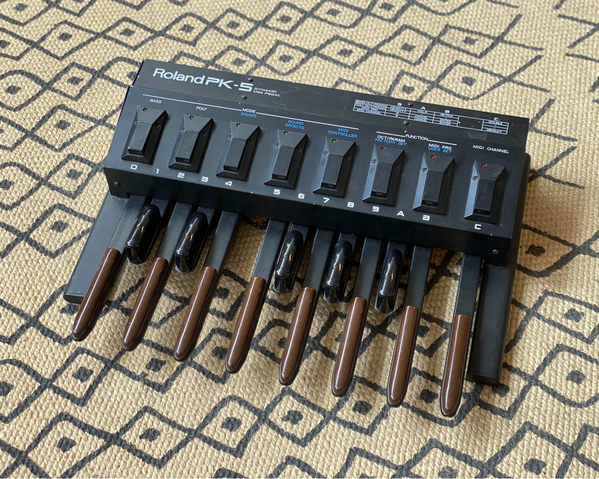 Roland PK-5 Dynamic MIDI Pedal – Found Sound