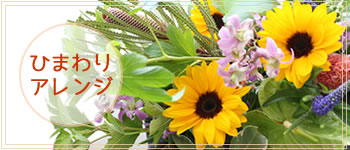 ひまわり 種類・画像 ｜ 花ブログ