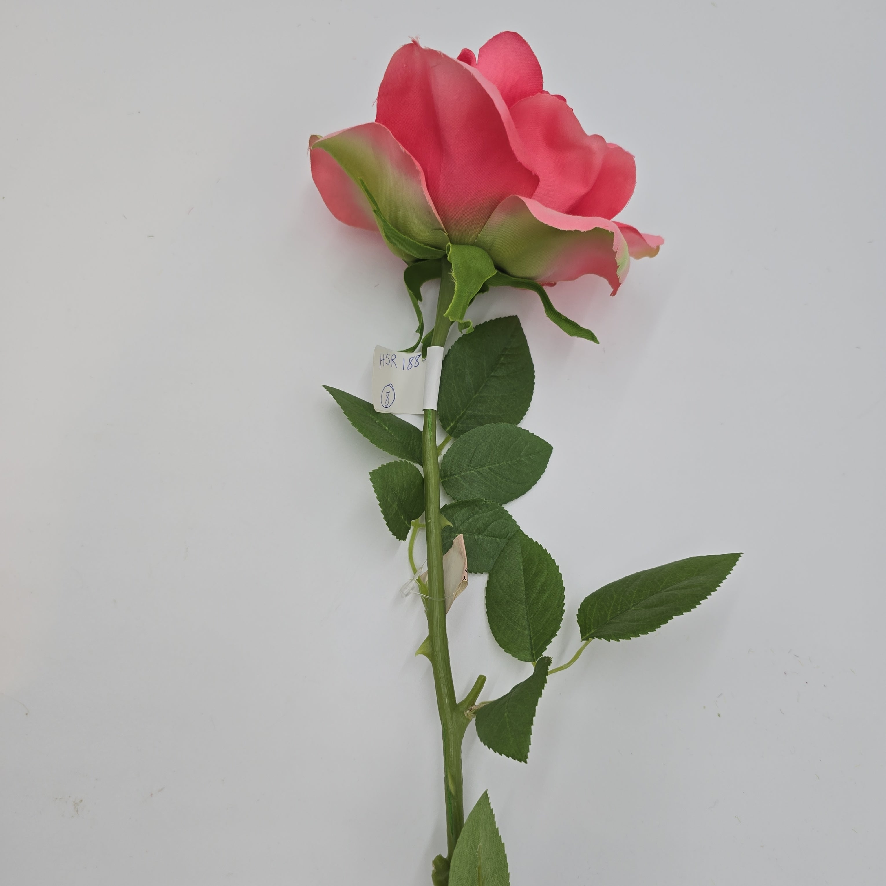 Open Rose--#hsr188-co - The Front Porch