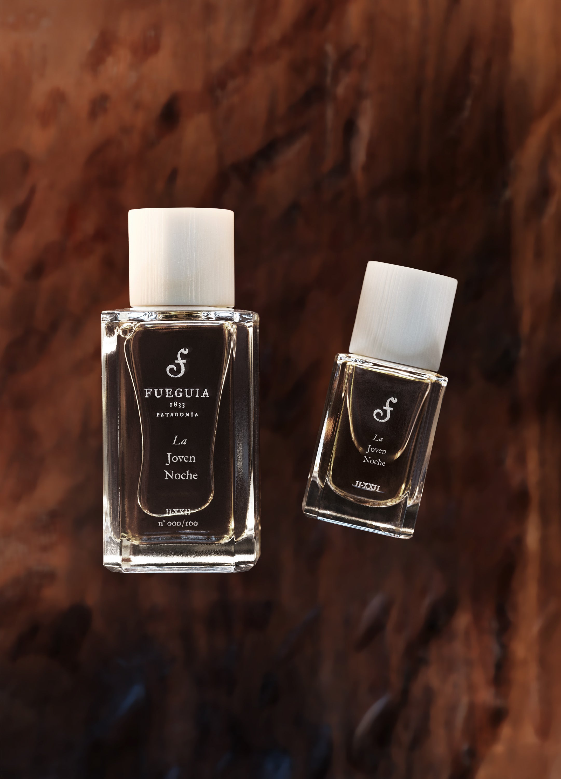 FUEGUIA 1833 | La Joven Noche｜ラ ホベン ノーチェ – FUEGUIA 1833