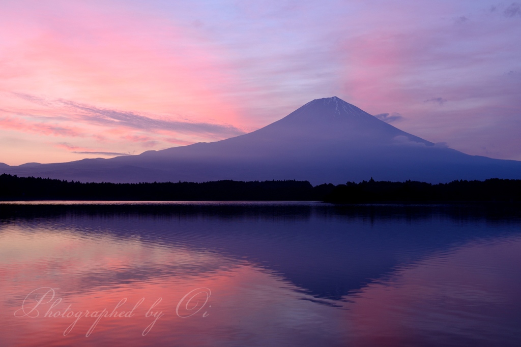 紫陽花色 - 2014年6月27日(金)撮影 - 田貫湖・朝霧高原・天子山塊周辺