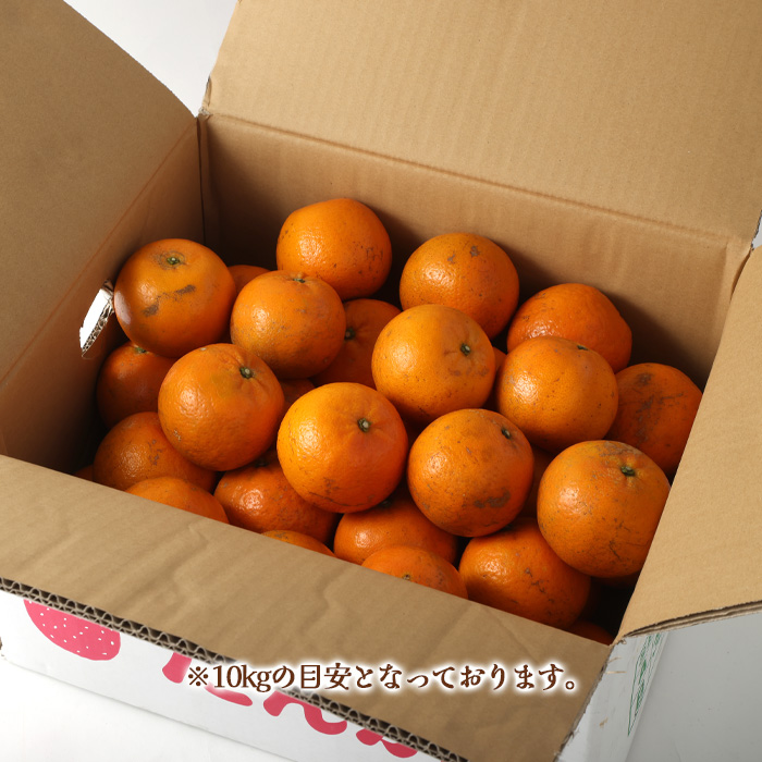 鹿児島天城町】林果樹園 徳之島産 タンカン【ご家庭用】混合サイズ