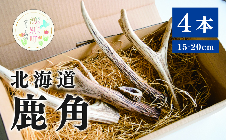 北海道 鹿角 4本 （15〜20本）ジビエ 鹿角 シカツノ しかつの エゾシカ