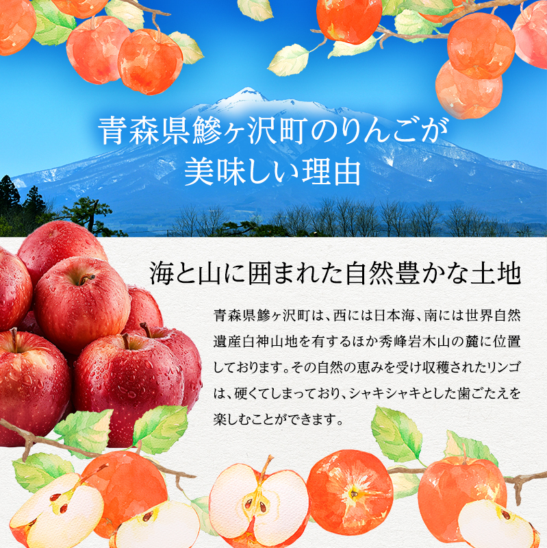 りんご 青森 サンふじ ぐんま名月 約 5kg (12～18玉) リンゴ