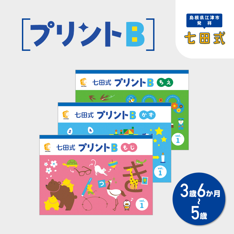 江津市限定返礼品 七田式プリントB 3歳半～5歳 【SC-50】｜送料無料 し