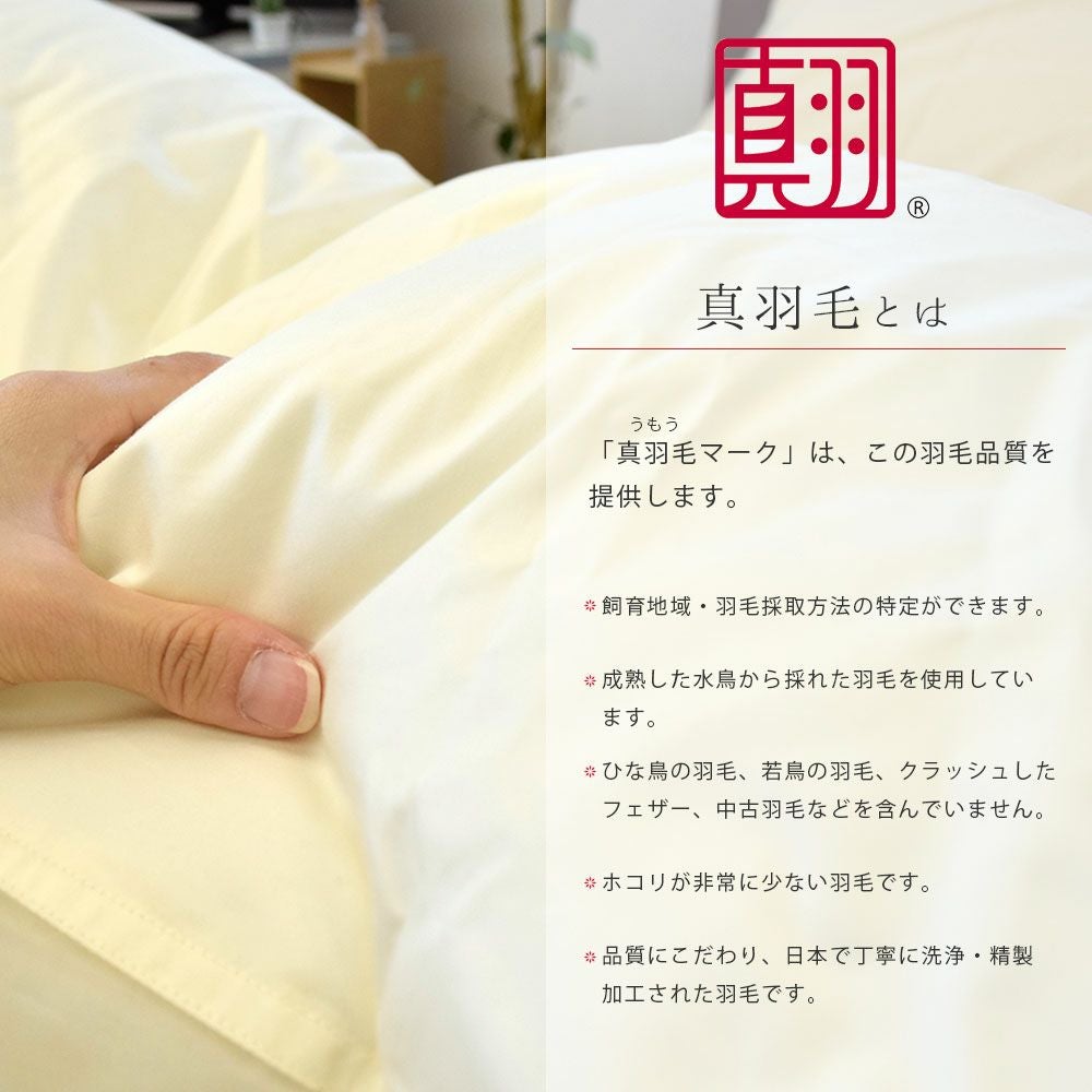 河田フェザー 羽毛布団 グース ダウン93% 400dp 超長綿 シングル｜ね