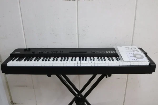 Roland/ローランド ショルダーキーボード シンセサイザー Lucina AX-09