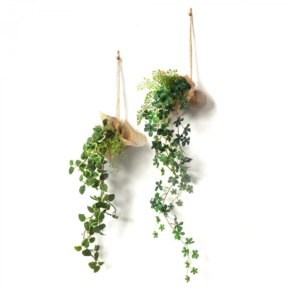 ハンギンググリーン プミラ&シュガーバイン 消臭タイプ 2個セット