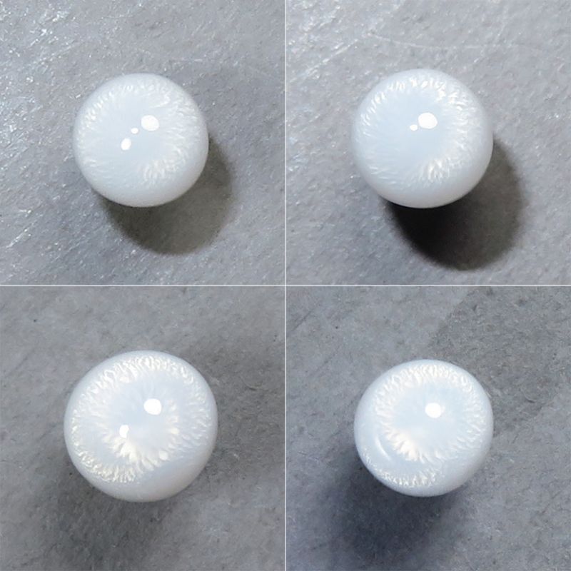 トリダクナパール(シャコ真珠)(1.92ct) - ジェムインターネットTOKYO