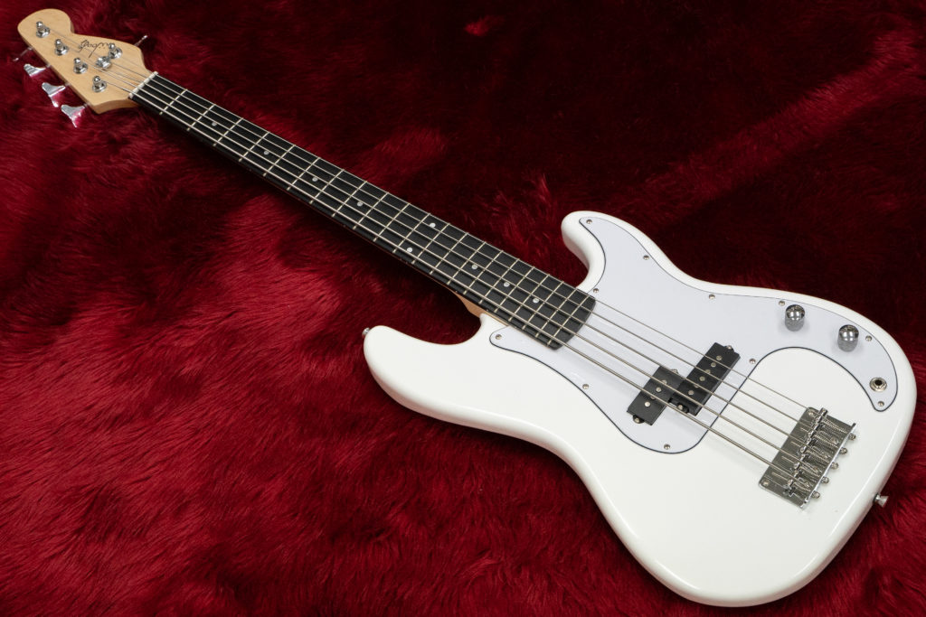 おすすめのプレシジョンベースを紹介！ベース専門店がプレベの選び方を