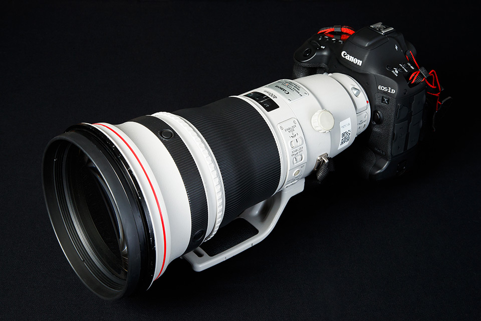 熱狂の2018ワールドカップ ロシア大会「EF400mm F2.8L IS II USM」で