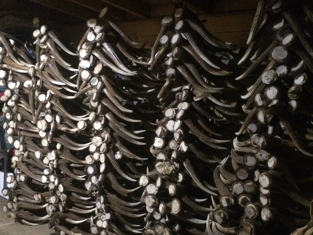 北海道の大自然を暮らしに添える珠玉の蝦夷鹿クラフト「DEER HORN