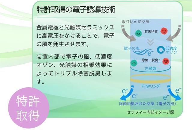 FTW Seraphy（セラフィー(R)）（空気活性機）