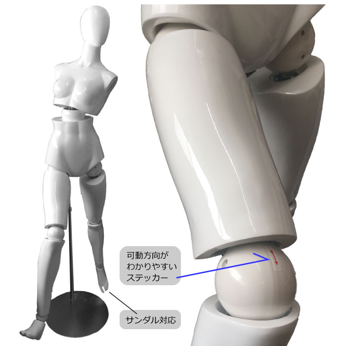 ニューサンドール レディース 白塗装（艶有り） 関節可動マネキン 専用