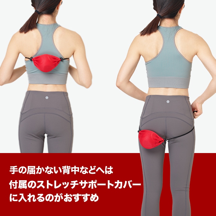 フィットネスクラブがつくったスタイリーボール | ジャンルで探す,健康