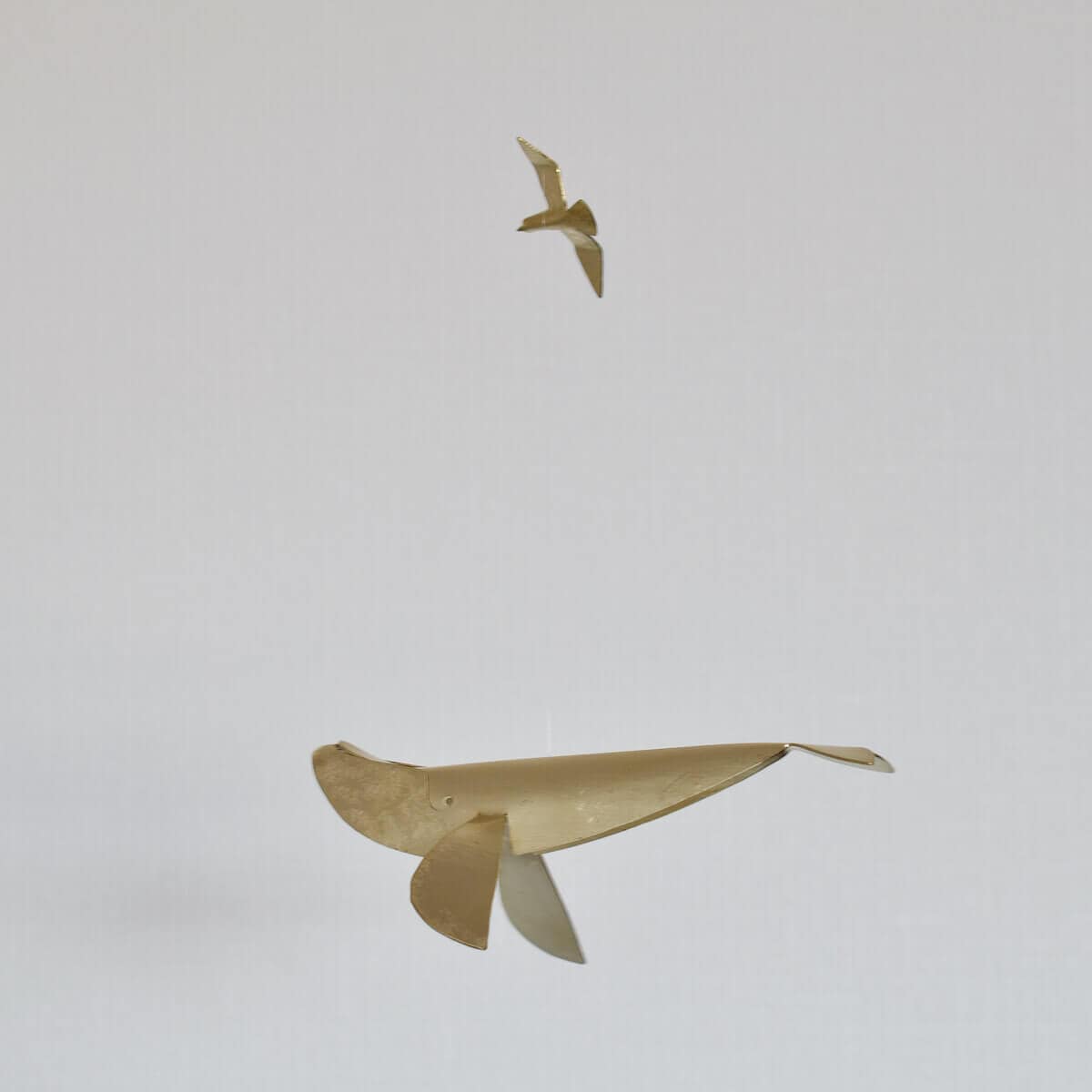 中根 嶺｜ブランドページ｜CATAWARA