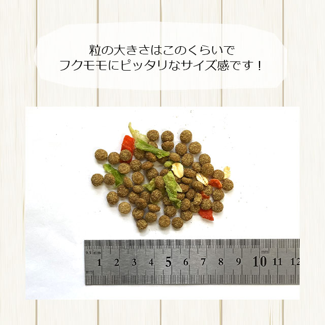 大容量】【本店限定価格】むしたまやさいプレミアムテイスト 大容量