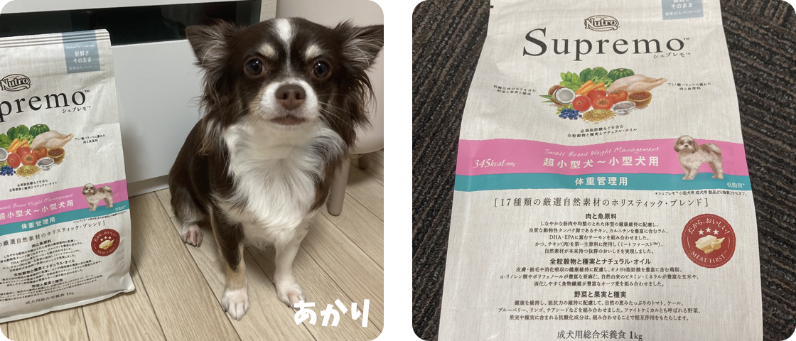 Supremo（シュプレモ）｜Nutro（ニュートロ）