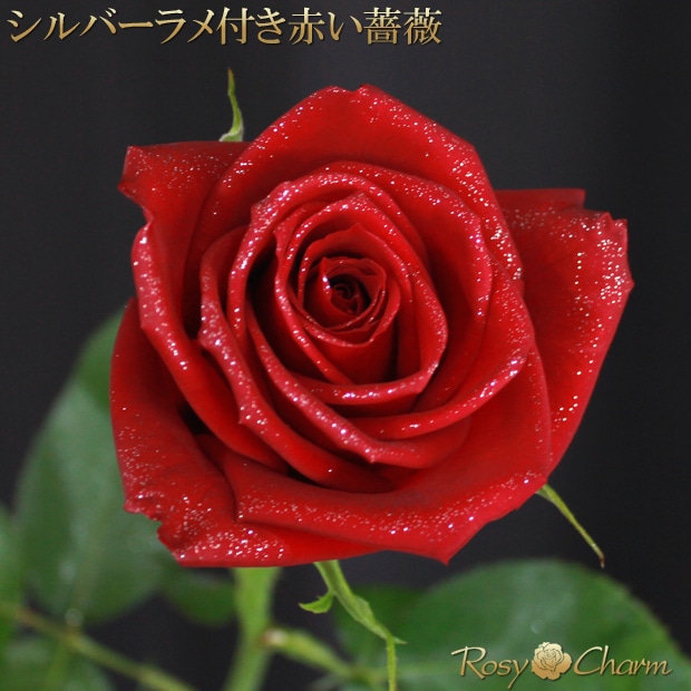 ラメ付き 赤いバラの花束｜スパークリングローズ・ブーケ｜ゴールド