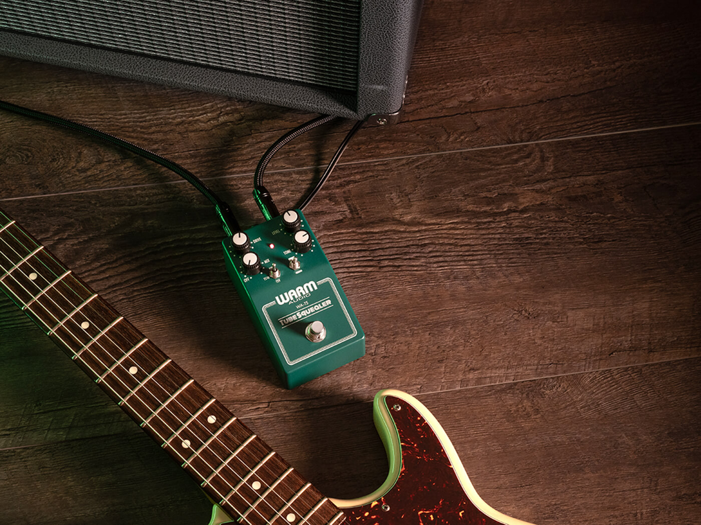 Warm Audio WA-TS Tube Squealer review: more than meets the eye