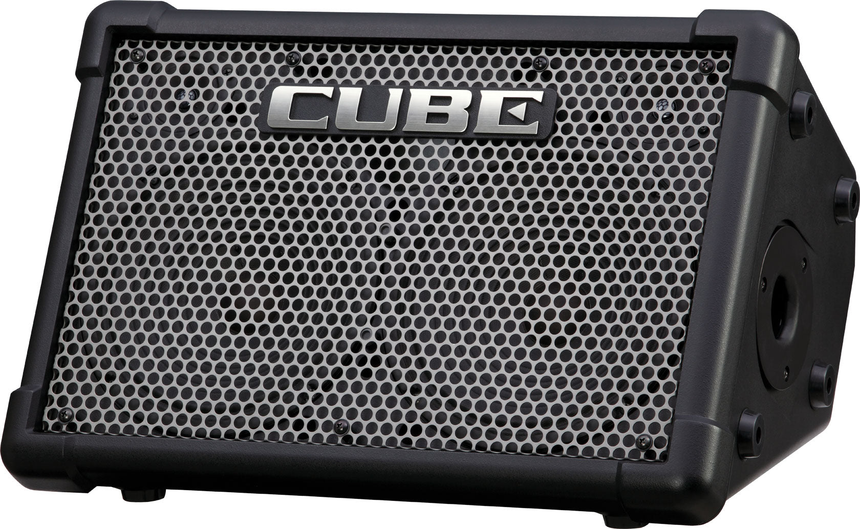 Roland CUBE Street EX Battery-Powered Stereo Amplifier – Harry's