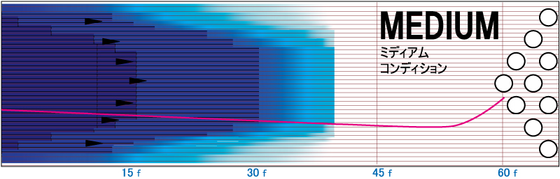 ロード・ウォリアー - ハイスポーツ社 ：信頼のボウリング用品販売