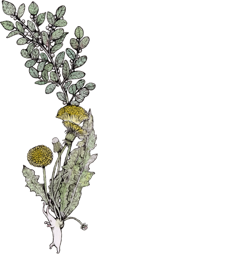 書籍『ボリス絵日記』｜ヒグチユウコ Higuchi Yuko Official Website