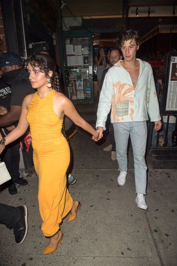 Camila Cabello Wows In Orange Dress With Shawn Mendes On Date