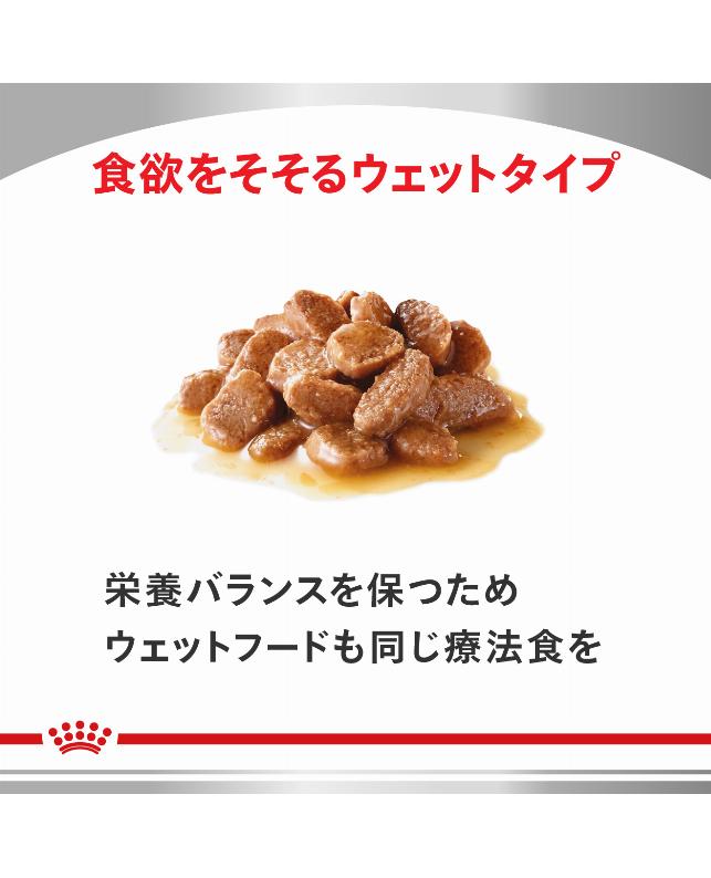 ロイヤルカナン 〈猫用〉 消化器サポート（可溶性繊維）4kg