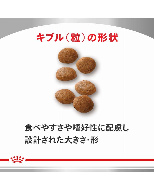 ロイヤルカナン 〈猫用〉 ユリナリーS／Oオルファクトリー 2kg