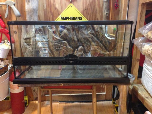 エキゾテラEXO TERRA グラステラリウム6030 4530 ハンティングアニマル