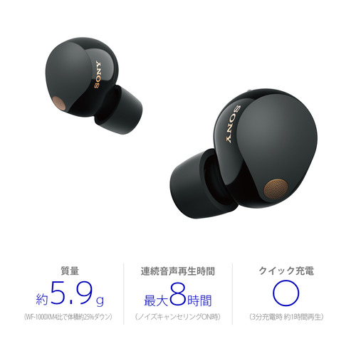 ソニー ワイヤレス イヤホン 左右分離 ハイレゾ ノイズキャンセリング