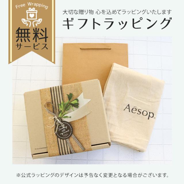 イソップ Aesop シャンプー コンディショナー ヘアケアセット 巾着付き