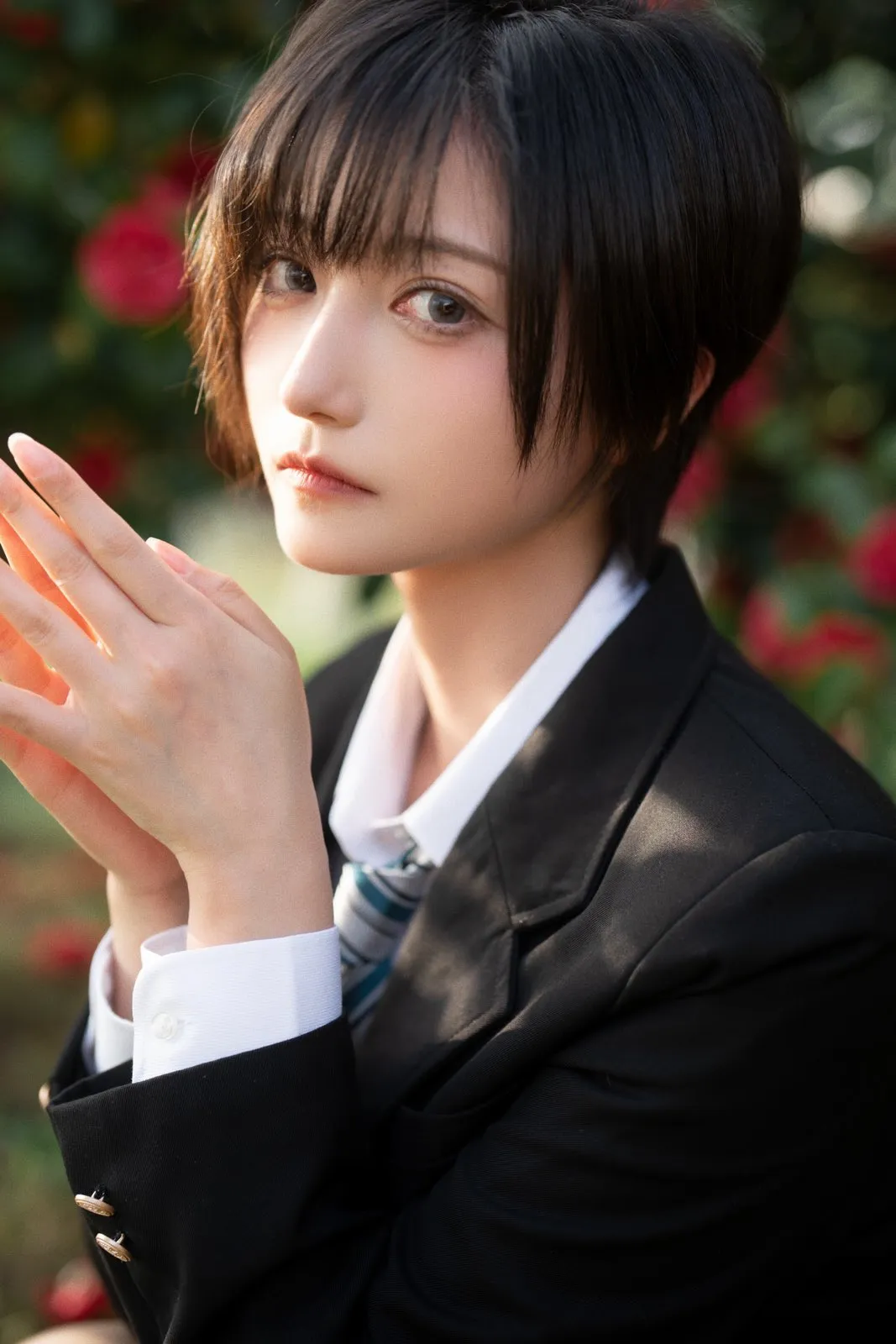 Comoshuai - NamuWiki