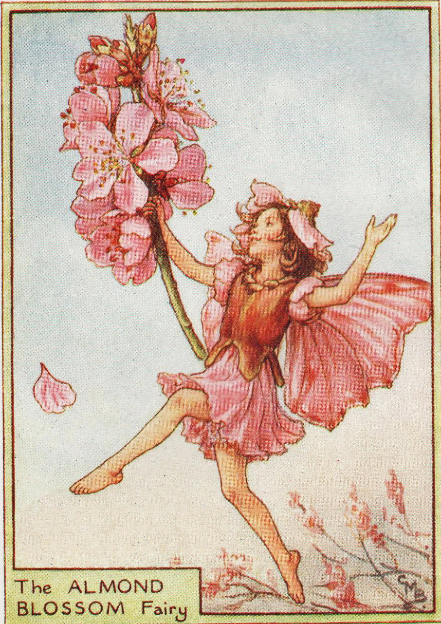 花の妖精：アーモンドの花の妖精 ヴィンテージプリント 1930年頃