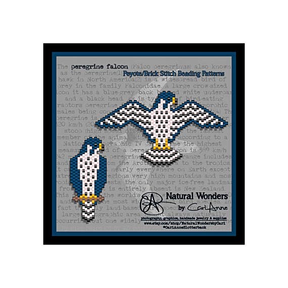 Peregrine Falcon (l-2pc) Brick / Peyote Stitch Beading Pattern for