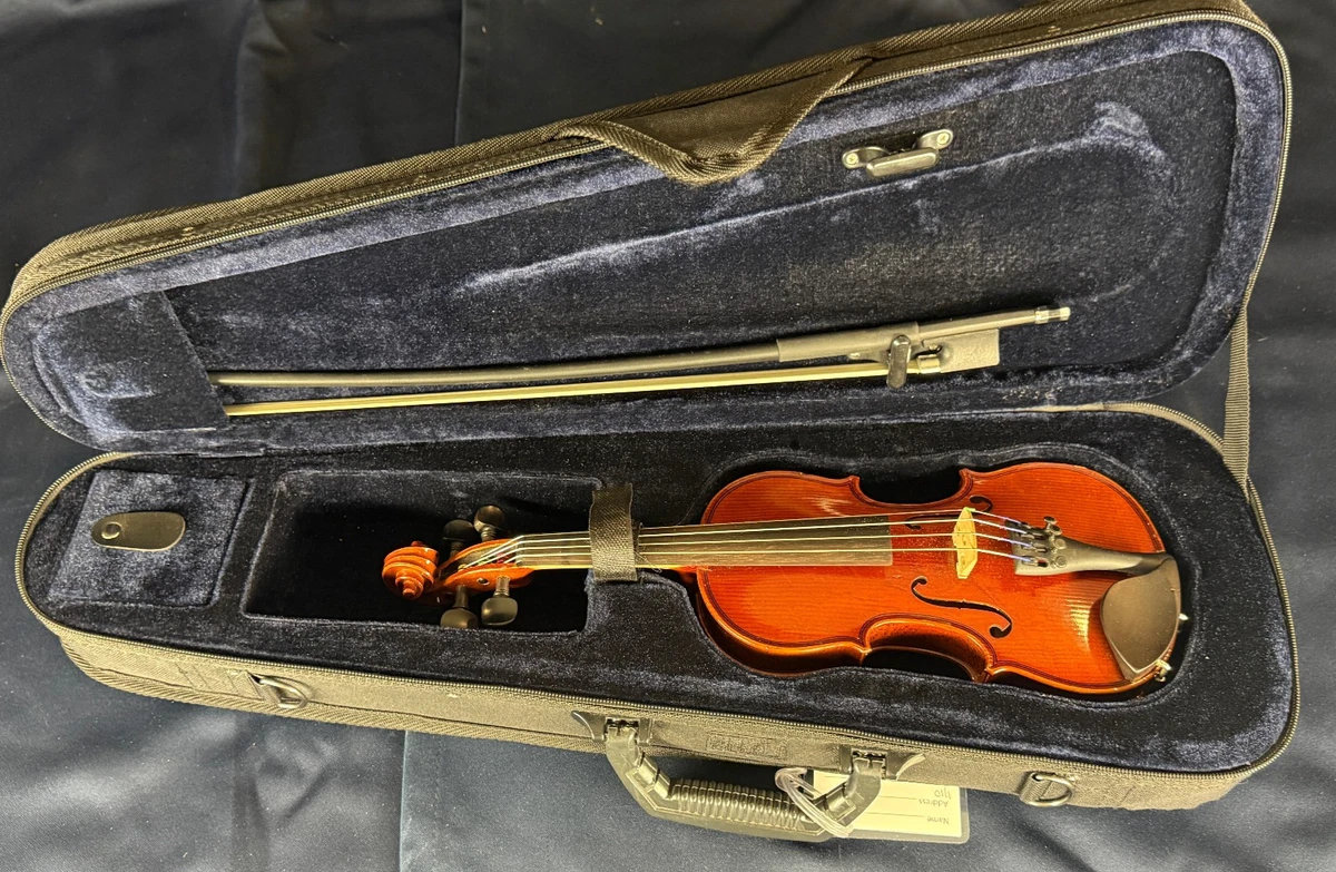 Eastman Acoustic Violins 4/4 Size for sale | eBay