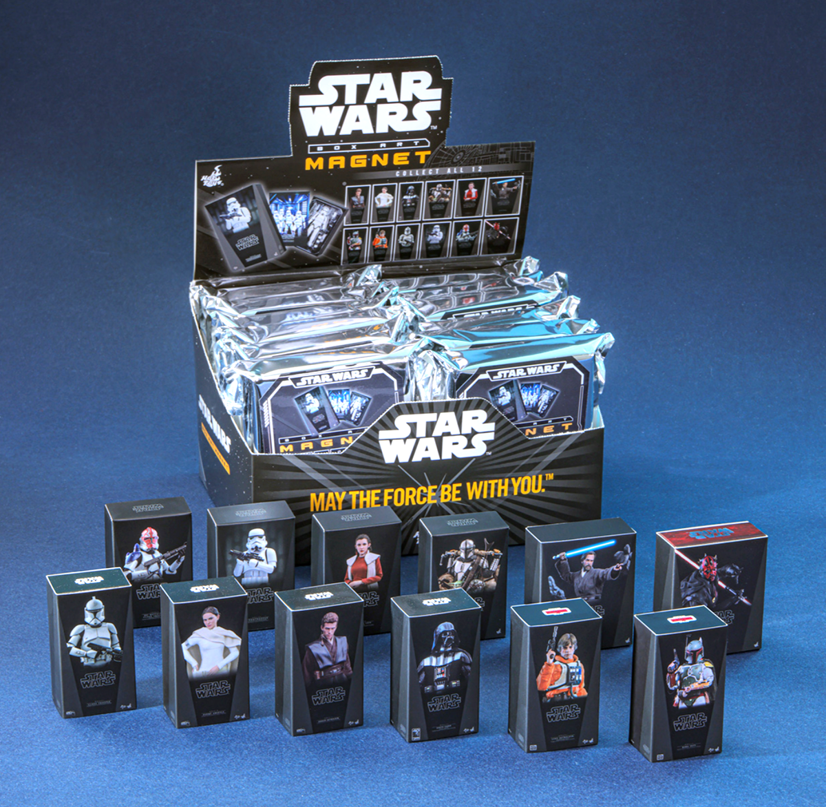 Hot Toys Masterpiece Star Wars 1/6 Magnet Set of 6 Celebration