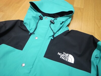 THE NORTH FACE 1986 86 FUTURELIGHT MOUNTAIN JACKET PORCELAIN GREEN
