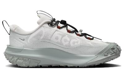Nike ACG Mountain Fly 2 GORE-TEX Low Phantom Light Silver - HF6245