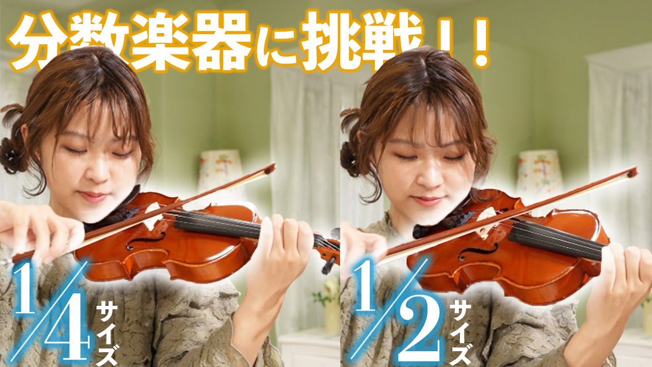 Eastman SVL80セット 4/4 バイオリン 初心者セット 【マイスター茂木